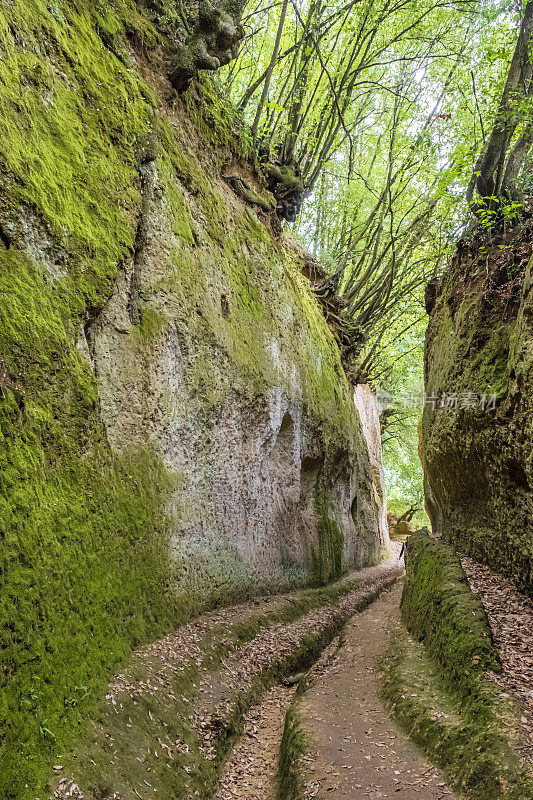 皮蒂利亚诺托斯卡纳的Vie Cave